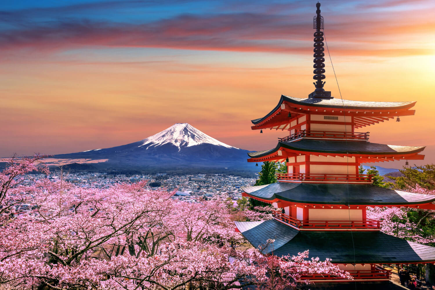 Why Studying in Japan Is Not for Everyone’s Cup of Tea